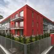 Краска Pura Color,  14л (Австрия)